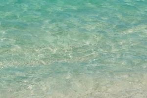 安卓应用大地视频app破解版免会员无广告