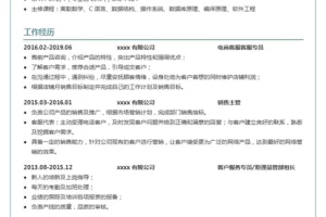 精美简约的电商客服专员Word简历模板(深蓝白底)