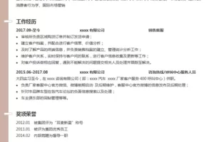 时尚简约的销售客服Word简历模板(褐色白底)